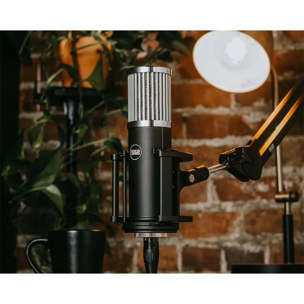 512 Audio Skylight Large Diaphragm Condenser XLR Microphone w/ Pop Filter  Boom Arm Bundle